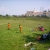 Picture 043